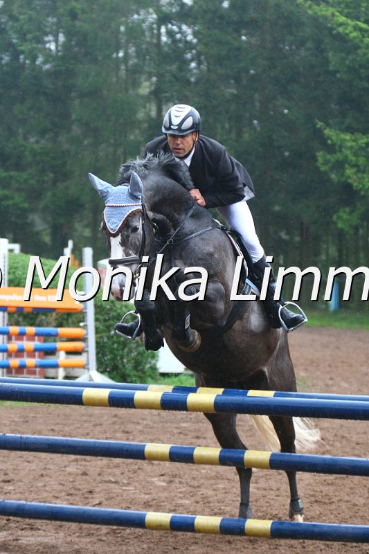 005L4676_JPs Cora_Springpferde A xx.JPG